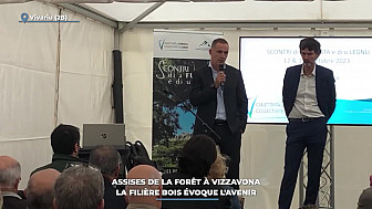 TV Locale Corse - Développement de la Filière Bois