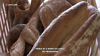 TV Locale Corse - A Fiera di u pane di Lumiu se pérennise