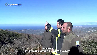 TV Locale Corse - Incendie : 15 hectares détruits par les flammes