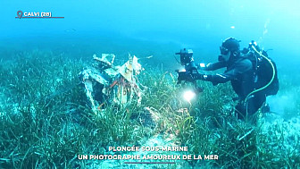 TV Locale Corse : Plongée sous-marine : un photographe amoureux de la mer