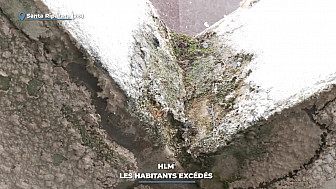 TV Locale Télé Paese - Santa-Reparata-di-Balagna - HLM : les habitants excédés