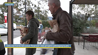 Télé Paese : Des clémentines pour financer des projets pédagogiques