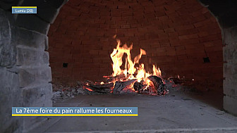 TV Locale Corse - La foire du pain rallume les fourneaux