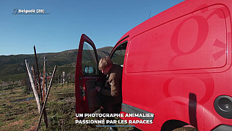 TV Locale Corse - Un photographe animalier passionné par les rapaces