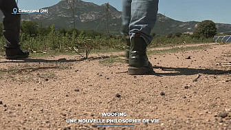 TV Locale Corse - Woofing : une nouvelle philosophie de vie