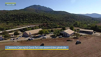 TV Locale Corse - L'associu Capraghji Corsi fait son assemblée générale