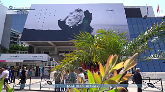 TV Locale Corse - Festival de Cannes : Les productions insulaires ont du succès