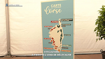 TV Locale Corse - Viticulture - A fiera di u vinu se délocalise