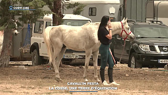 TV Locale Corse - Cavall’in Festa : La Corse, une terre d’équitation