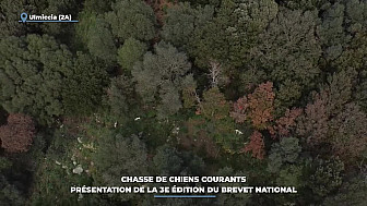 TV Locale Télé-Paese Corse - Chasse de chiens courants : présentation de la 3e édition du brevet national