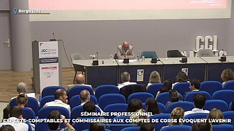 TV Locale Corse - Séminaire professionnel : experts-comptables et commissaires aux comptes de Corse évoquent l'avenir