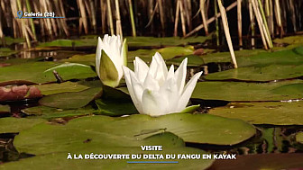 TV Locale Corse - à la découverte du delta du Fangu en kayak dans la réserve de biosphère du Falasorma Dui-Sevi