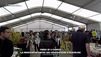 TV Locale Corse - Fiera di u casgiu : la rencontre entre les générations d'éleveurs