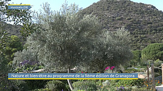 TV Locale Corse - Nature et bien-être au programme de la 9ème édition de Granagora