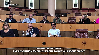 TV Locale Corse - Assemblée de Corse : une résolution solennelle pour la paix au Proche Orient