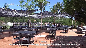 TV Locale Corse - U pozzu : un domaine alliant respect économie et respect du territoire