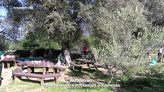 TV Locale Corse - Patrimoine : visite du jardin botanique d'Avapessa