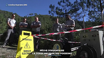 Acteurs Locaux TV Locale Corse - Pêche d'inventaire : la Corse recense ses poissons