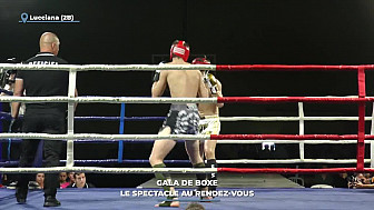 TV Locale Corse - Gala de boxe : le spectacle au rendez-vous